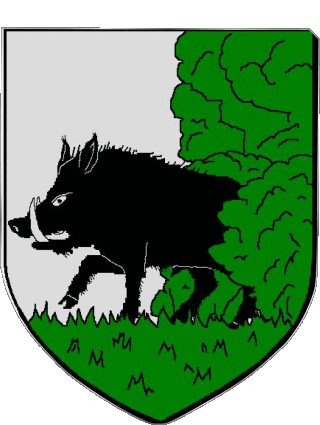 Blasón-Blasón BAUGE 49 Departamentos - Ciudades Francia Banderas 