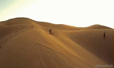 Sandboarding SnowBoard Sports Humor -  Fun 