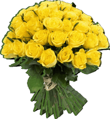 007 Gracias Spanish Messages 