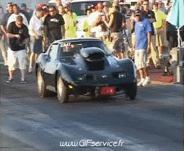 Wheeling Car Cars Transport Humor -  Fun 