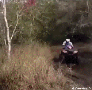 Fail 02 Quad Transporte Humor - Fun 