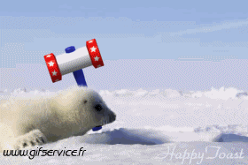 01 Focas lobo marino Animales Humor - Fun 