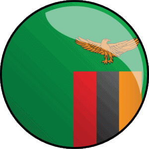 Rond Zambie Afrique Drapeaux 