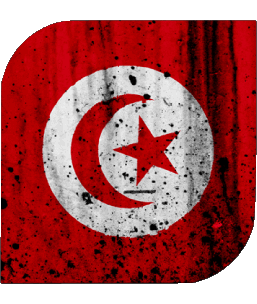 Carré Tunisie Afrique Drapeaux 
