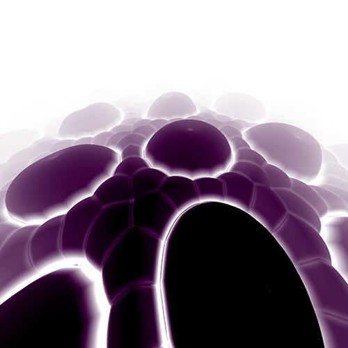 Connor Bell GIF Artists Humor -  Fun 