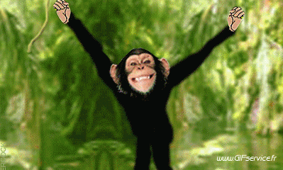 01 Monos Animales Humor - Fun 