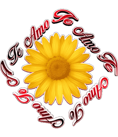 02 Te Amo Spagnolo Messagi 