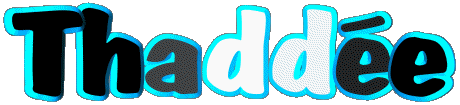 Thaddée T WEIBLICH - Frankreich Vorname 