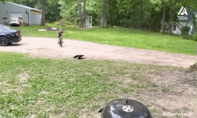 Fail BMX Sport Humor -  Fun 