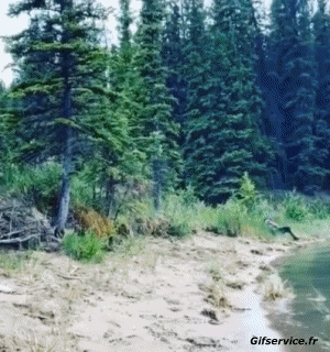 Fun - Win Boats Transport Humor -  Fun 