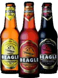 Beagle Argentine Bières Boissons 