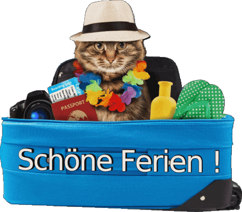 12 Transparent Background Schöne Ferien German Messages 