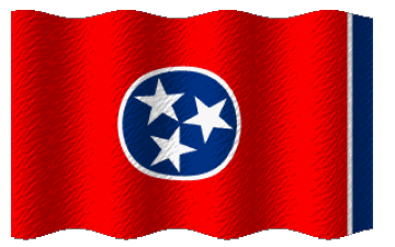 Ondulación Tennessee U.S.A - Estados América Banderas 