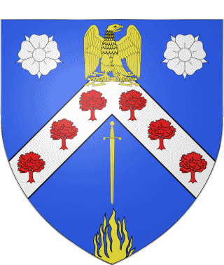 Wappen-Wappen Paris Bezirk 8 75 Abteilungen - Städte Frankreich Fahnen 