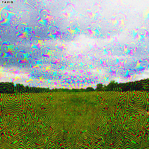 Bill Tavis GIF Artista Umorismo -  Fun 