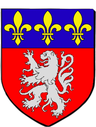 Wappen-Wappen LYON 69 Abteilungen - Städte Frankreich Fahnen 