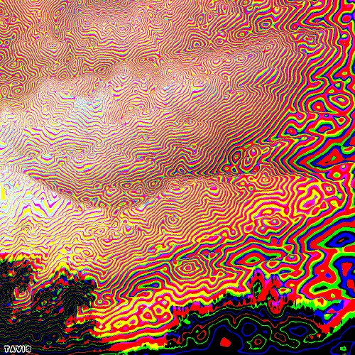 Bill Tavis GIF Artista Humor - Fun 