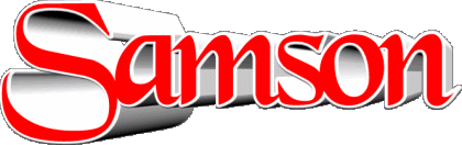 Samson S MASCULINE - France First Names 