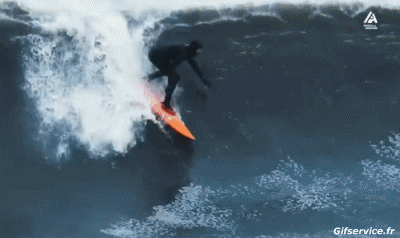 Fun - Win Surf Sports Humour - Fun 