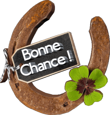 GIF 02 Bonne Chance French Messages