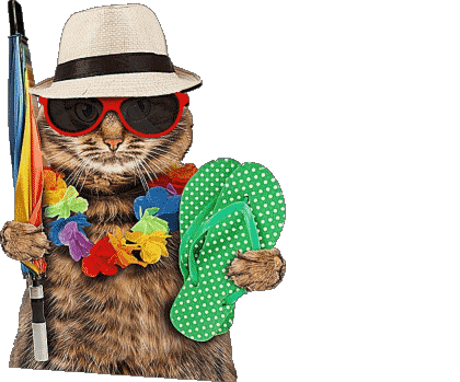 30 Transparent Background Buone Vacanze Italian Messages 