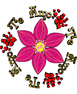 01 Te Amo Spanish Messages 