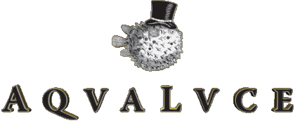 Aqua Luce Ginebra Bebidas 