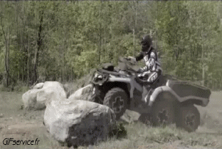 Fun - Win Quad Transporte Humor - Fun 