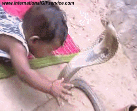 Serie 01 Lustige Baby MENSCHEN Humor -  Fun 