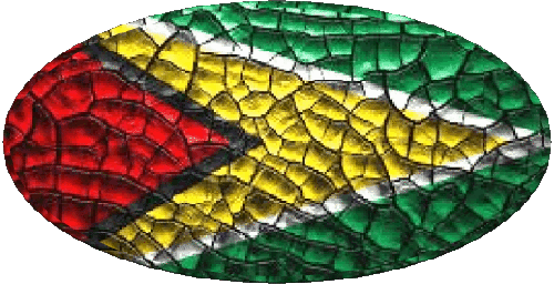 Ovale Guyana Amériques Drapeaux 