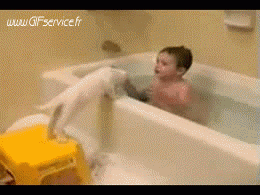 02 Katze Tiere Humor -  Fun 