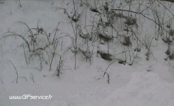 Serie 01 Im Schnee MENSCHEN Humor -  Fun 