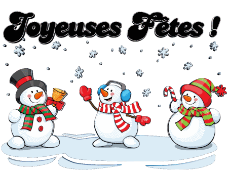 Serie 17 Joyeuses Fêtes (Noël) Francese Messagi 