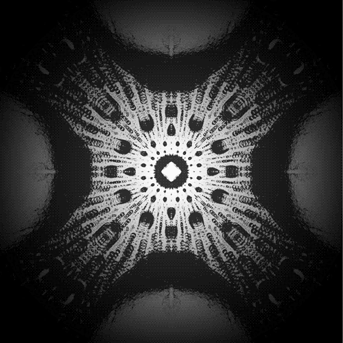 Connor Bell GIF Artists Humor -  Fun 