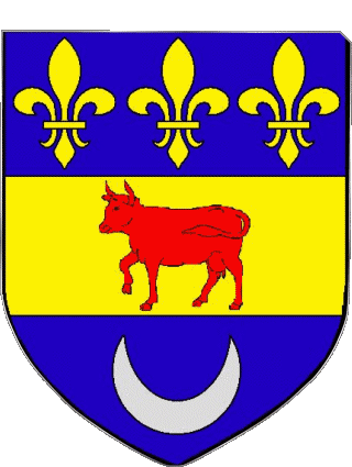 Blazon-Blazon COURSAN 11 Departments - Cities France Flags 