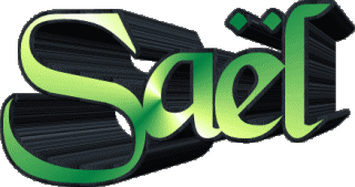 Saël S MASCULIN - France Prénoms 