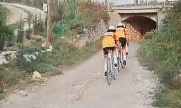 Les Fous du Stade - Vidéo Les Charlots Movie France Multi Media 