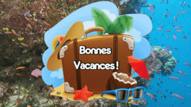 005 Sfondo animato Bonnes Vacances Francese Messagi 