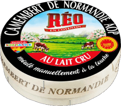 Réo France Cheeses Food 