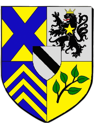 ALBIGNY SUR SAONE 69 Abteilungen - Städte Frankreich Fahnen 