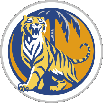 Tiger Singapour Bières Boissons 