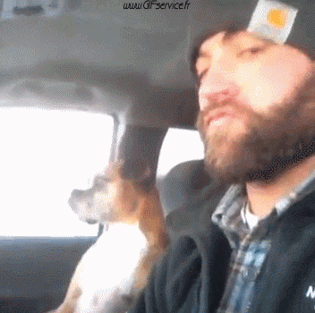 02 Hunde Tiere Humor -  Fun 