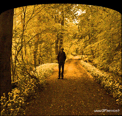 Stéreoscopique Wiggle 3D Effets Humour - Fun 