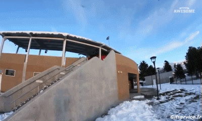 Free Style Fun Win Ski Sport Humor -  Fun 