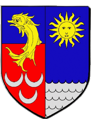 BOURGOIN JALLIEU 38 Dipartimenti - Città Francia Bandiere 