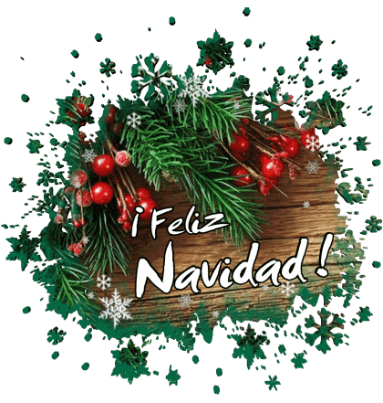 Serie 06 Feliz Navidad Spanisch Nachrichten 