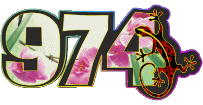 974 La Réunion D.O.M - T.O.M France Flags 