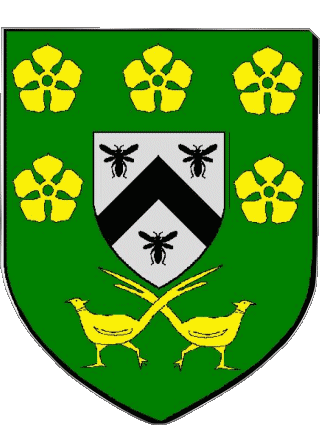 Blason-Blason SALBRIS 41 Départements - Villes France Drapeaux 