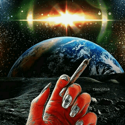 THE GLITCH GIF Artista Humor - Fun 