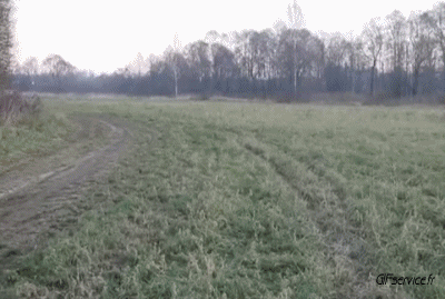 Accident  Fail Autos Transport Humor -  Fun 